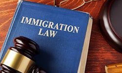 Immigration Law | Serendib Law Firm