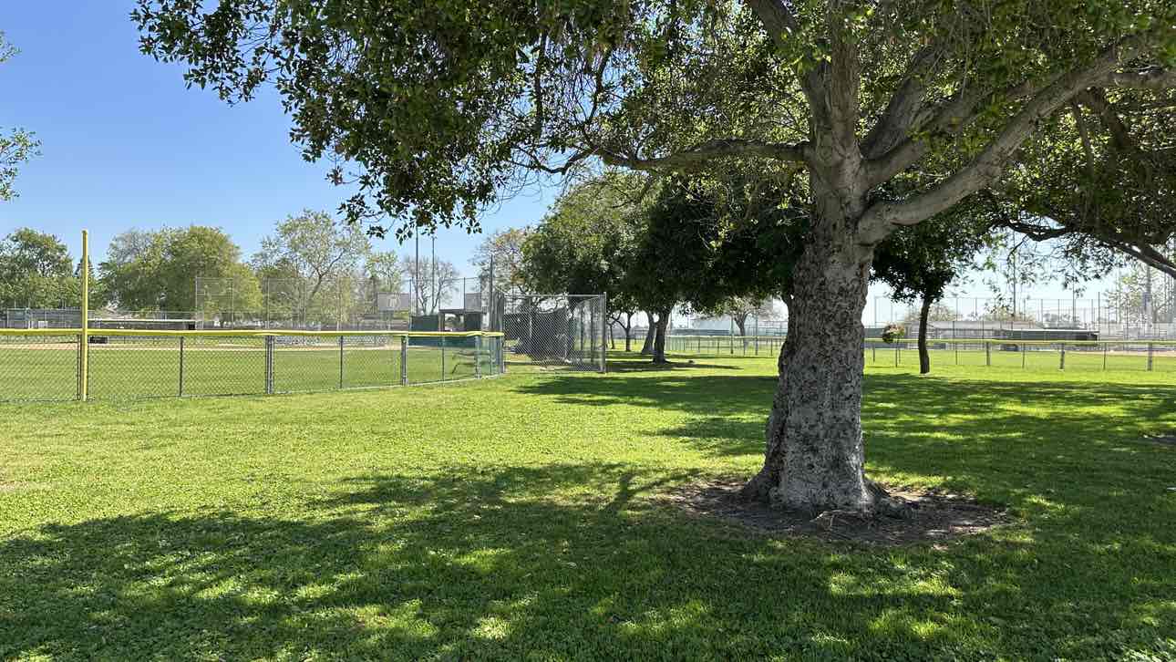 Cypress California | Serendib Law Firm
