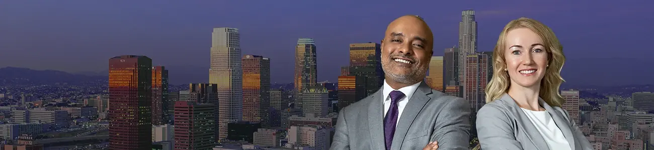 Serendib Law Firm banner